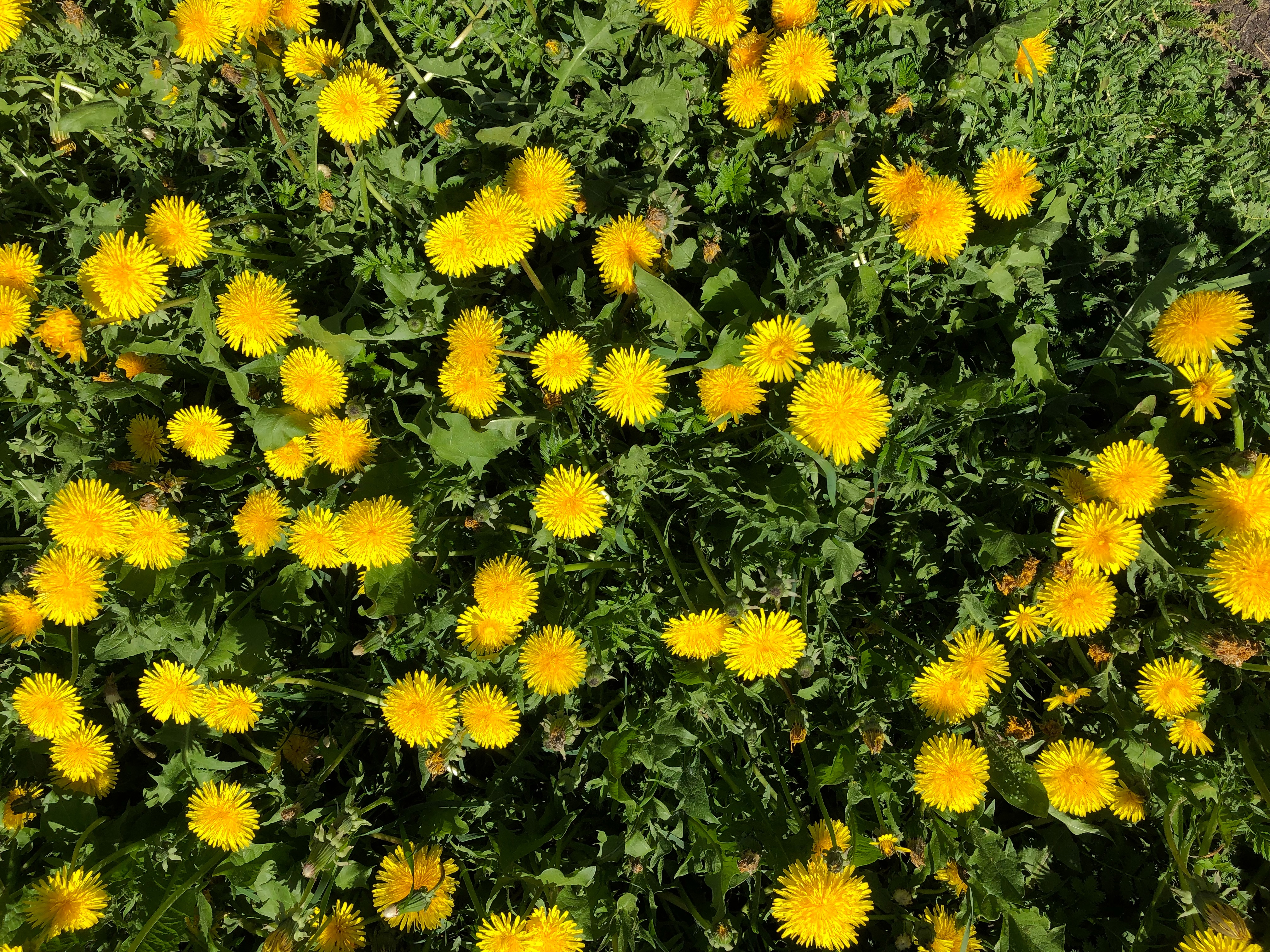 15AB3806 52A0 4757 ACB7 0B90AC84B3C9