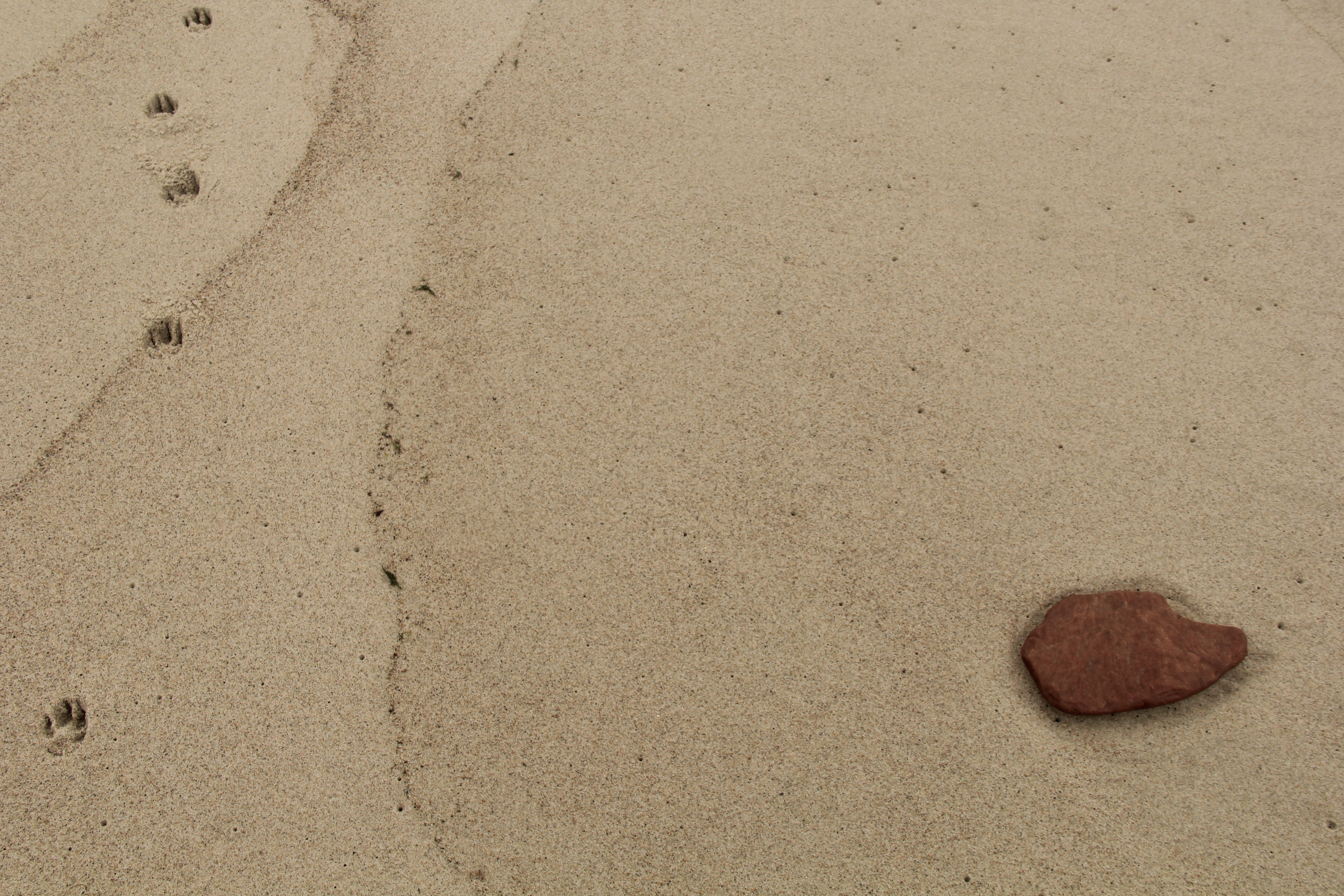 48B55135 896C 411F B6DB 16BE53838F5D