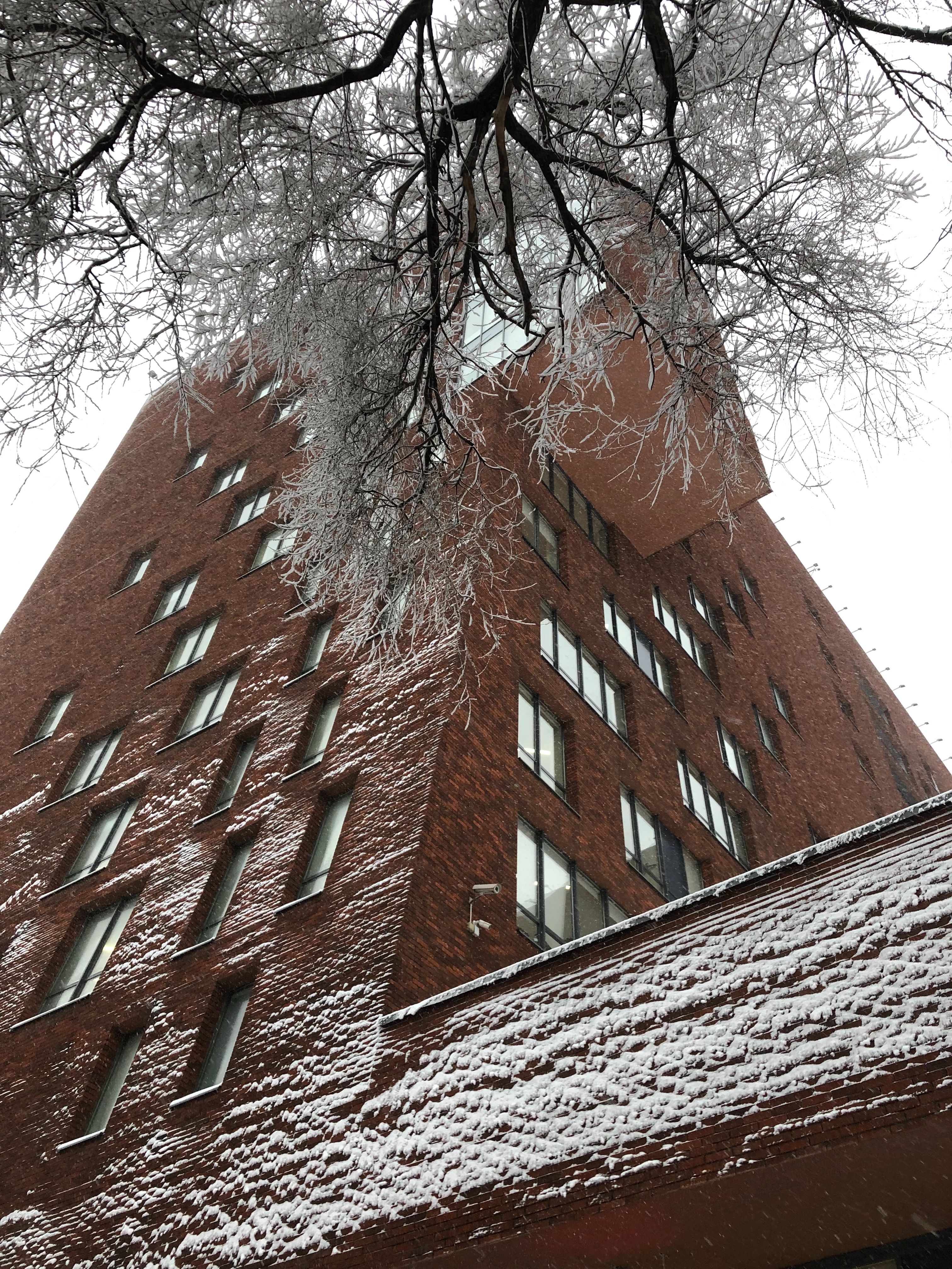 566CA5CF 95D8 4D7D 854E 7B86CC1A5239