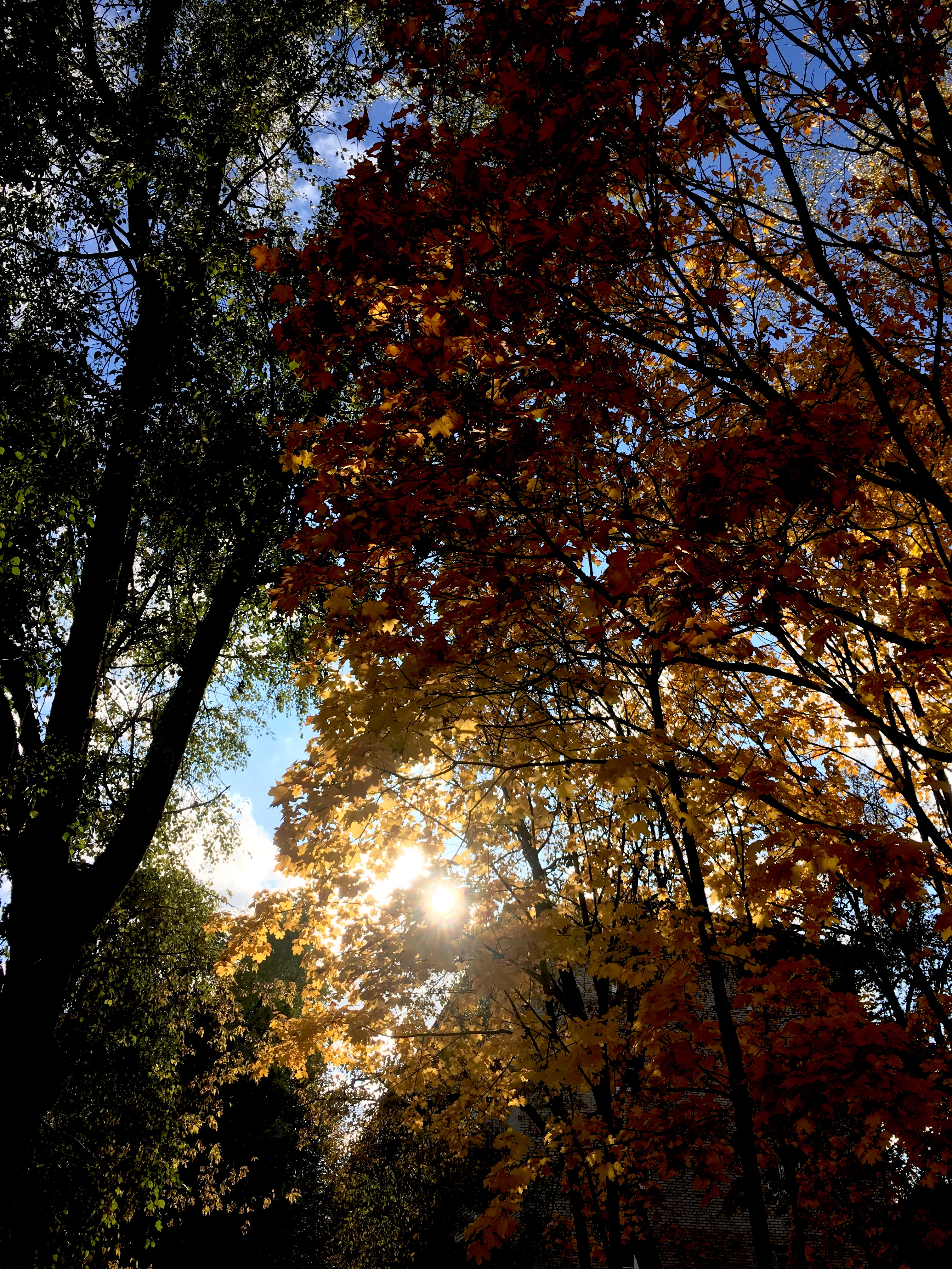 64D15B09 4FEF 40BF 9C8D 3DADF966F43F