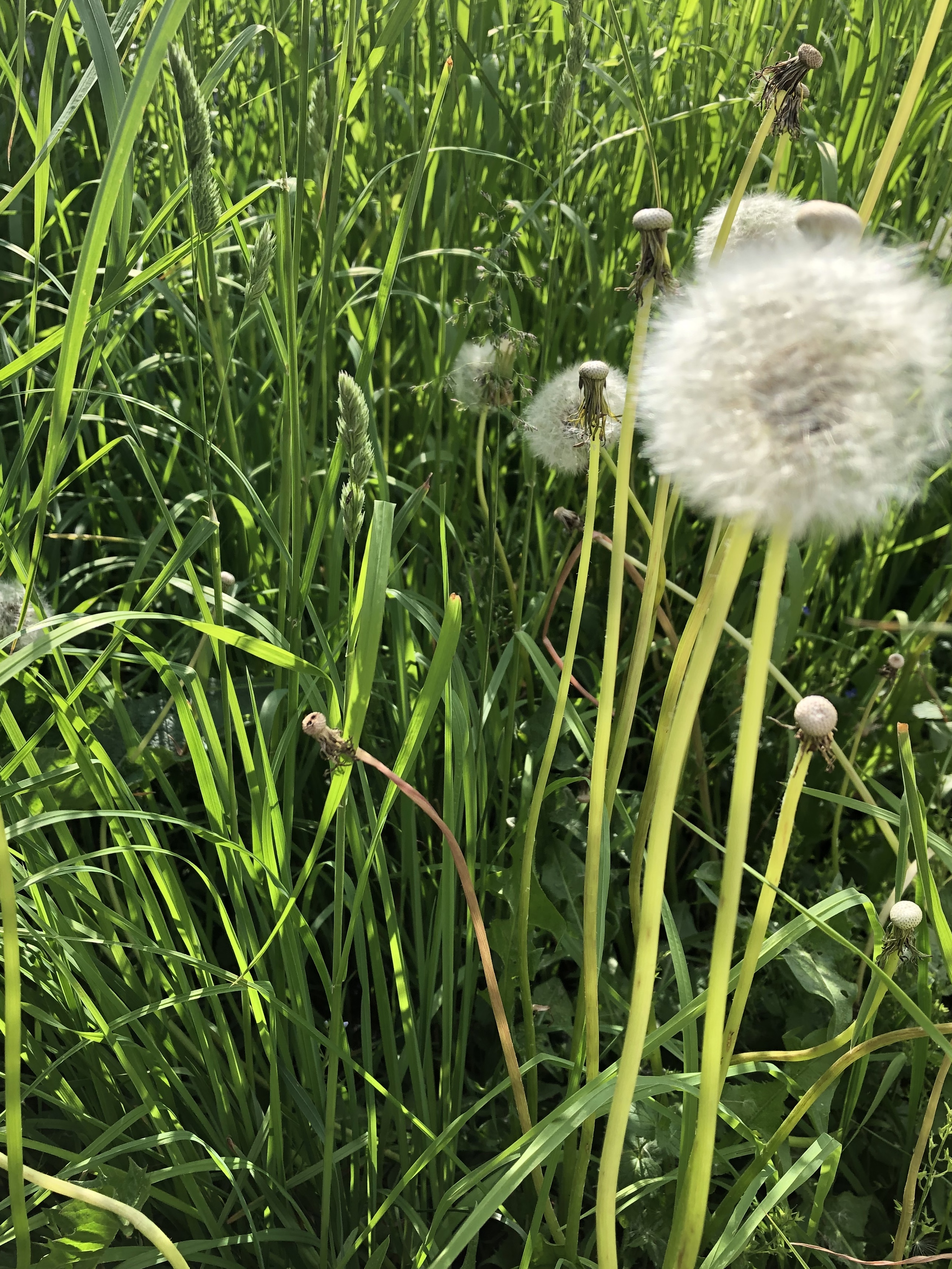 91F0367C 8DD3 43B0 877D 99E23241782A