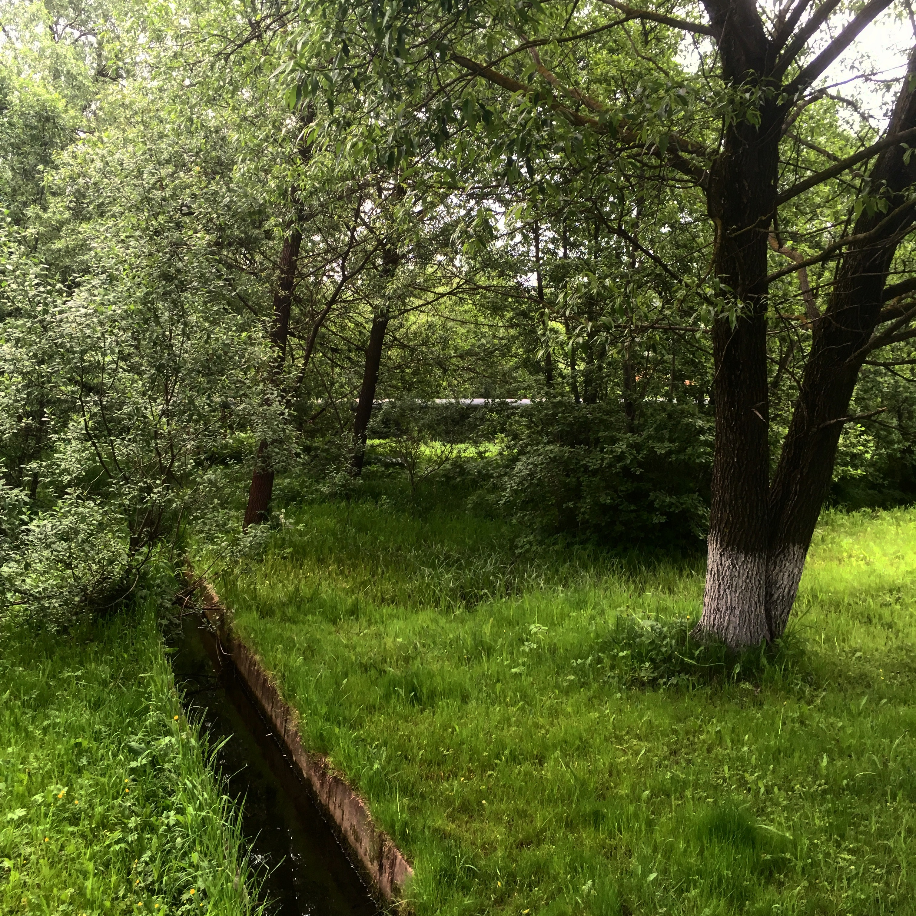 95CB8435 8942 4D0E B504 FD6AA80AF6E9