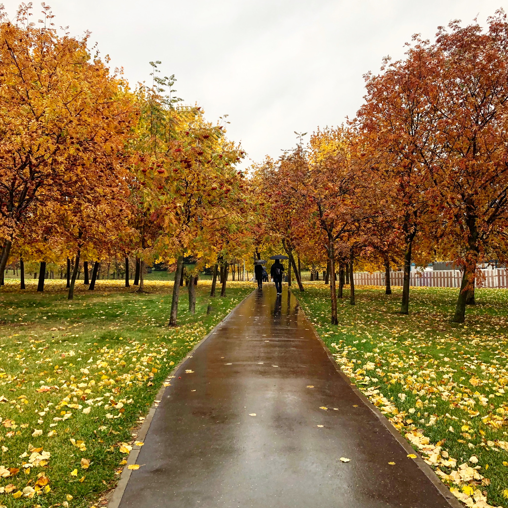 B3EDA8B4 94F7 4D0C 8F17 EDB473C0160A