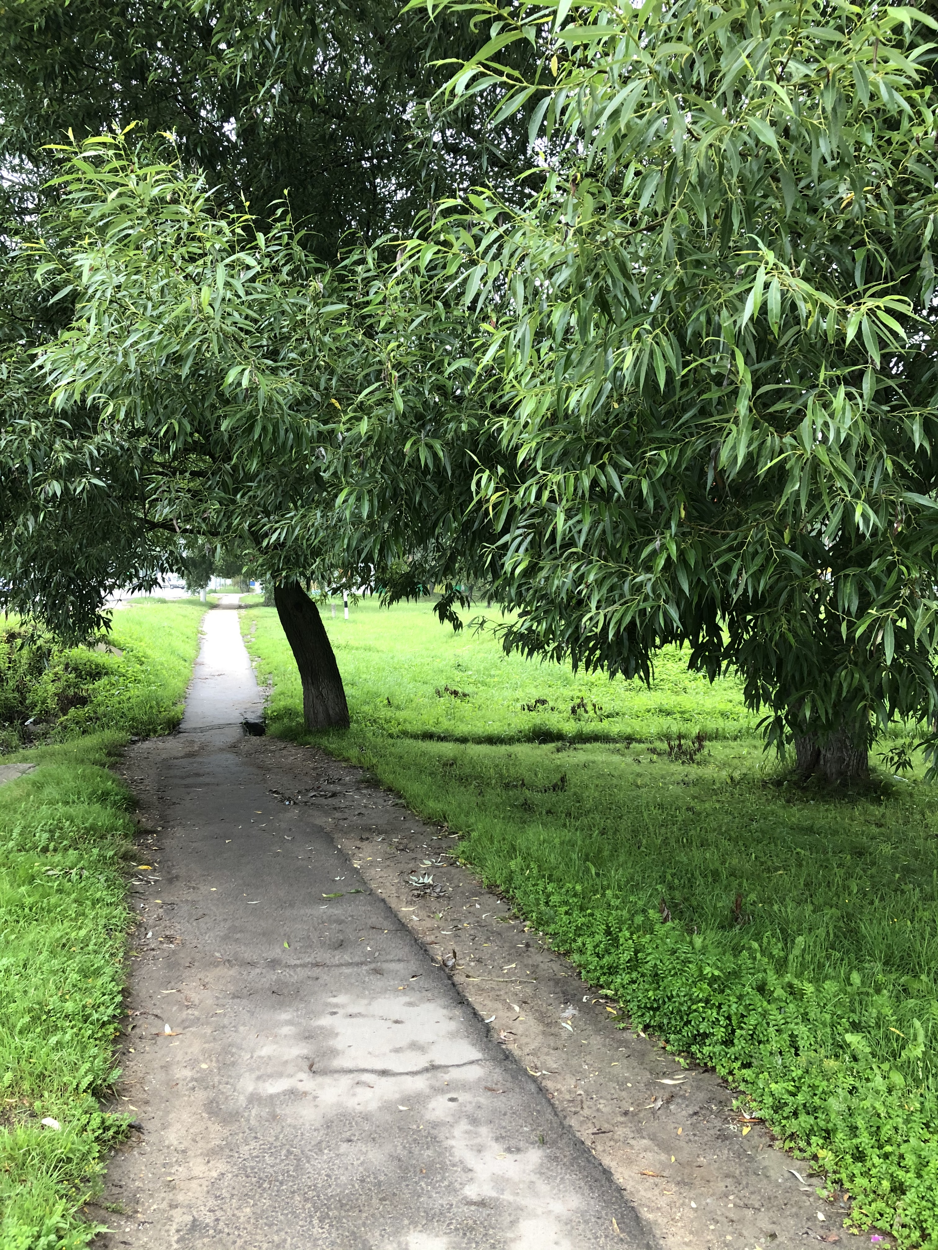 F6F96FBF A401 4C1E A937 26BF296651EF