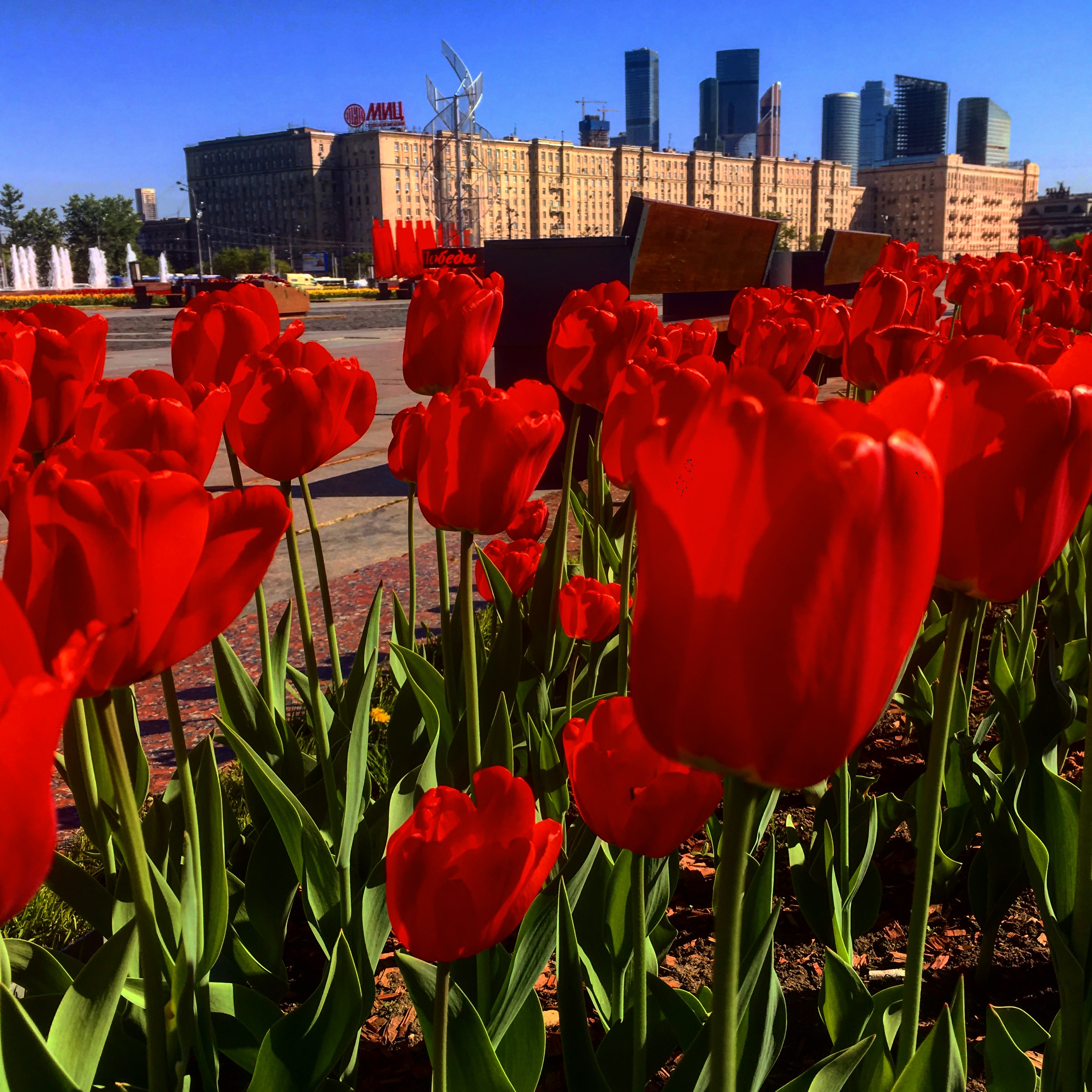 41FBDF7E 109C 4CD3 8AFC E1C1DBBD18A8