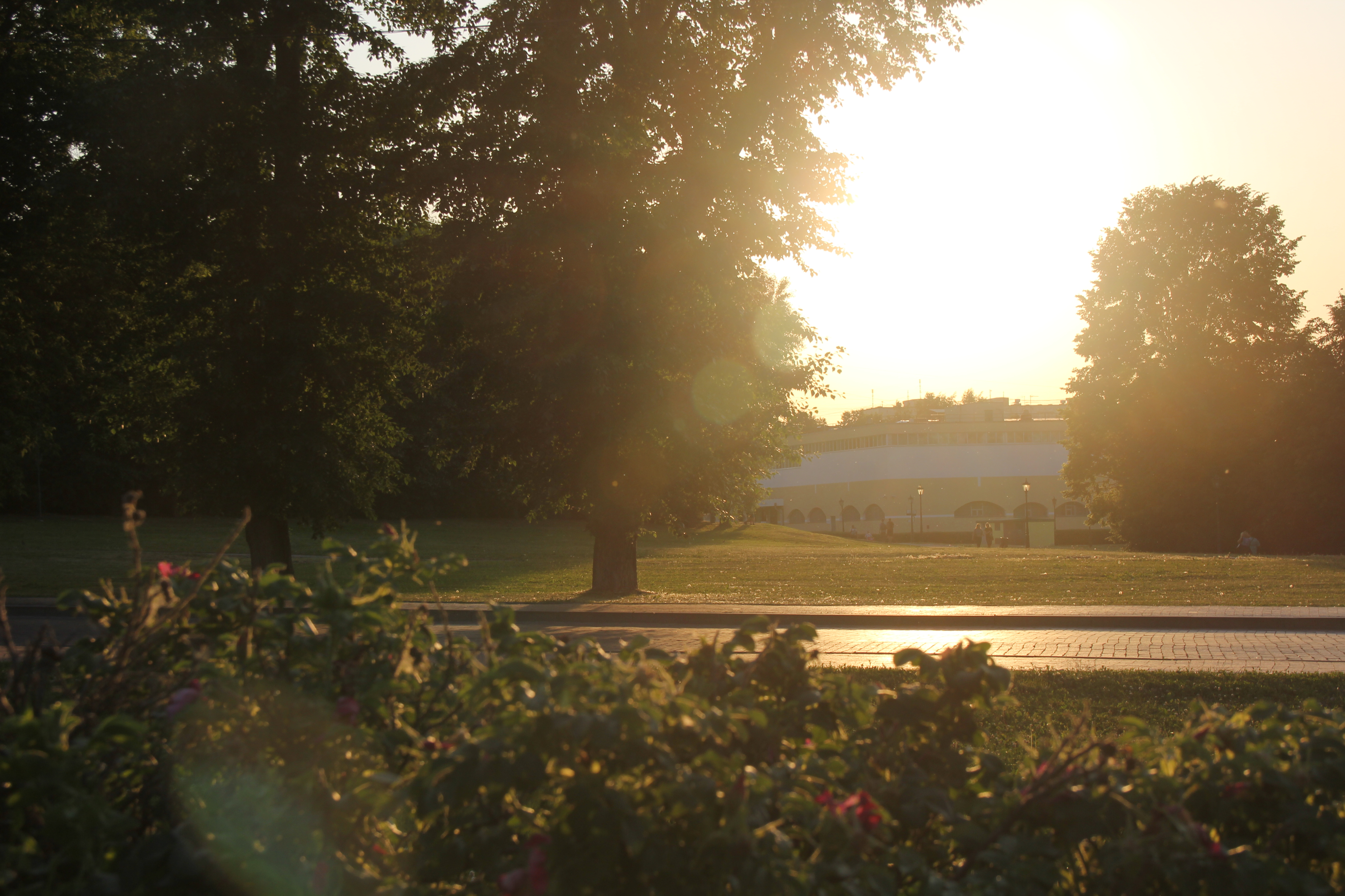 8204387E 845B 41B3 8660 09991A70117C