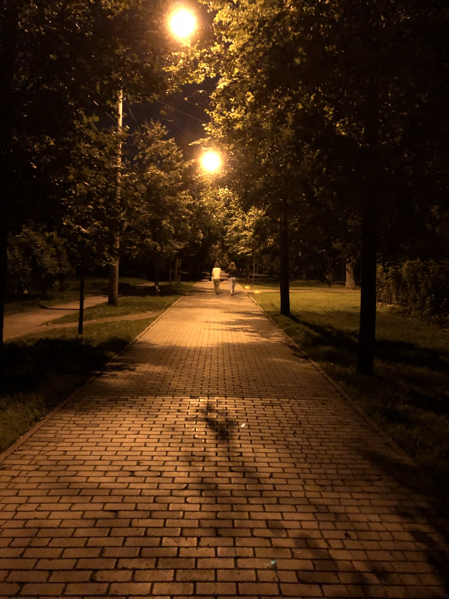 DC7E22E7 880F 4FA2 9598 4839691043DB