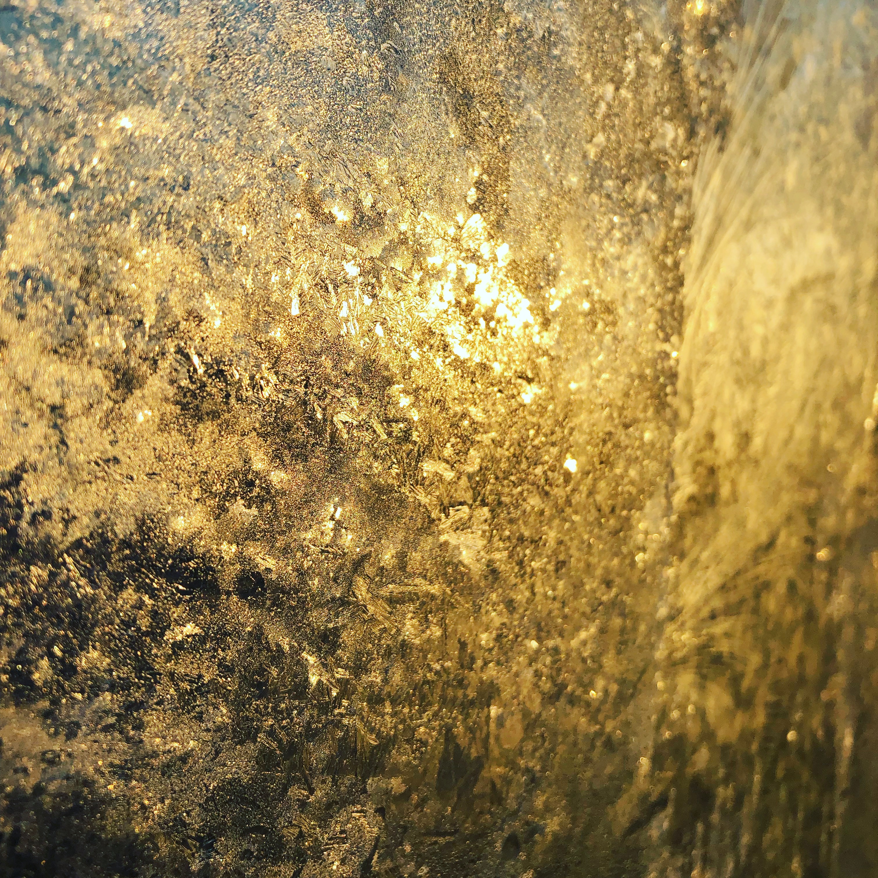 2322F43C 77A4 4AFD 8090 23225188076B