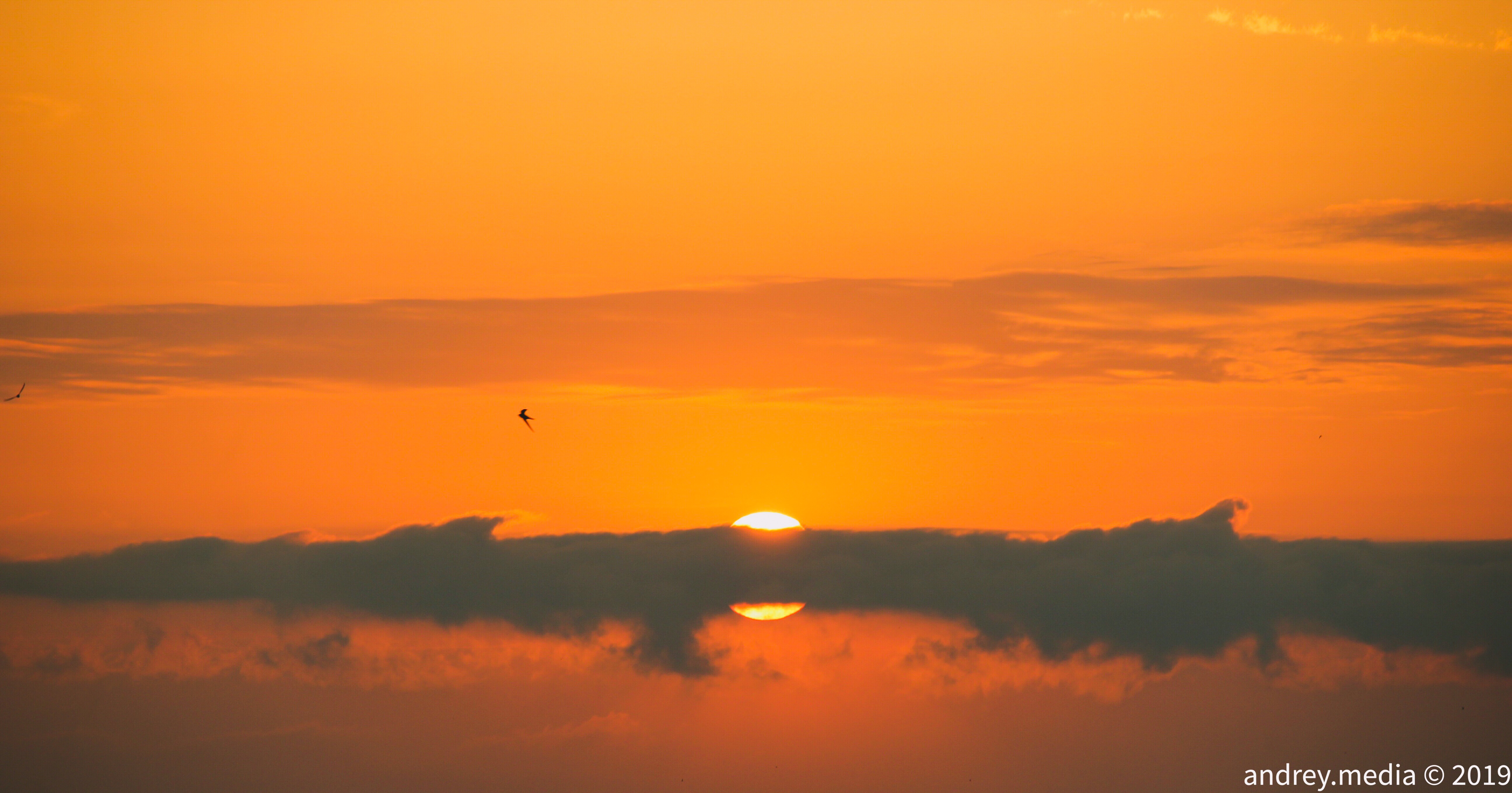 53848A03 157E 444E B13E 589B4E67A207