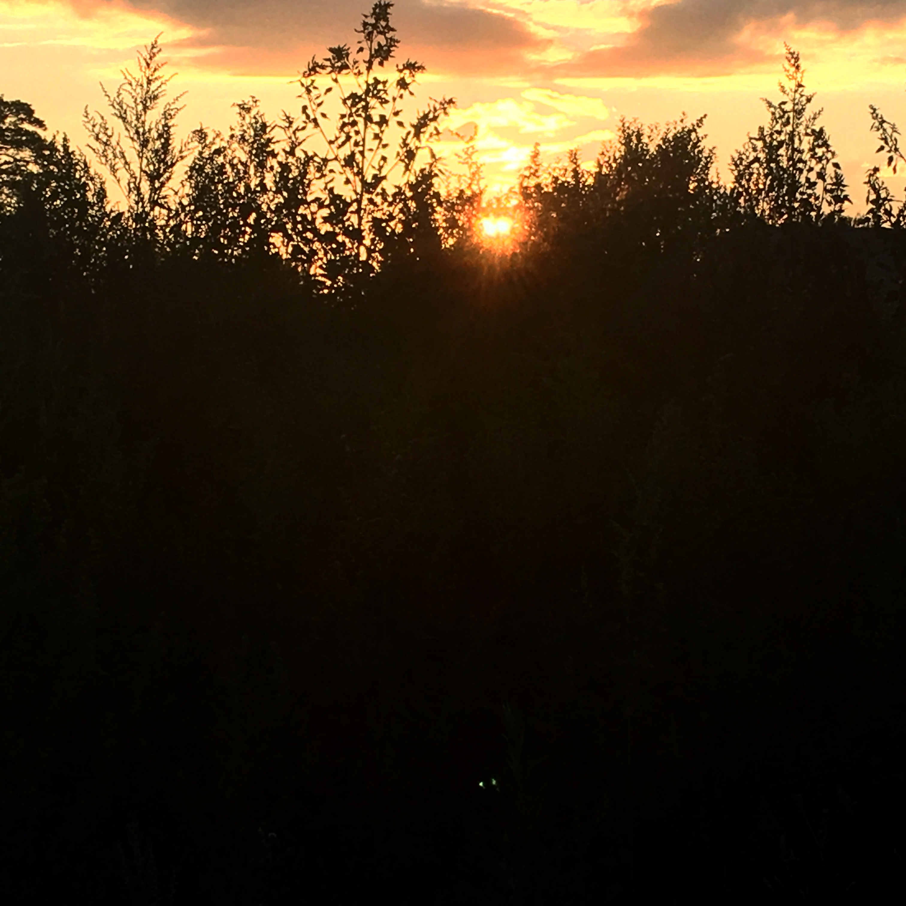 7F058A39 D2AD 4956 B0F7 FC08BB8D37AE