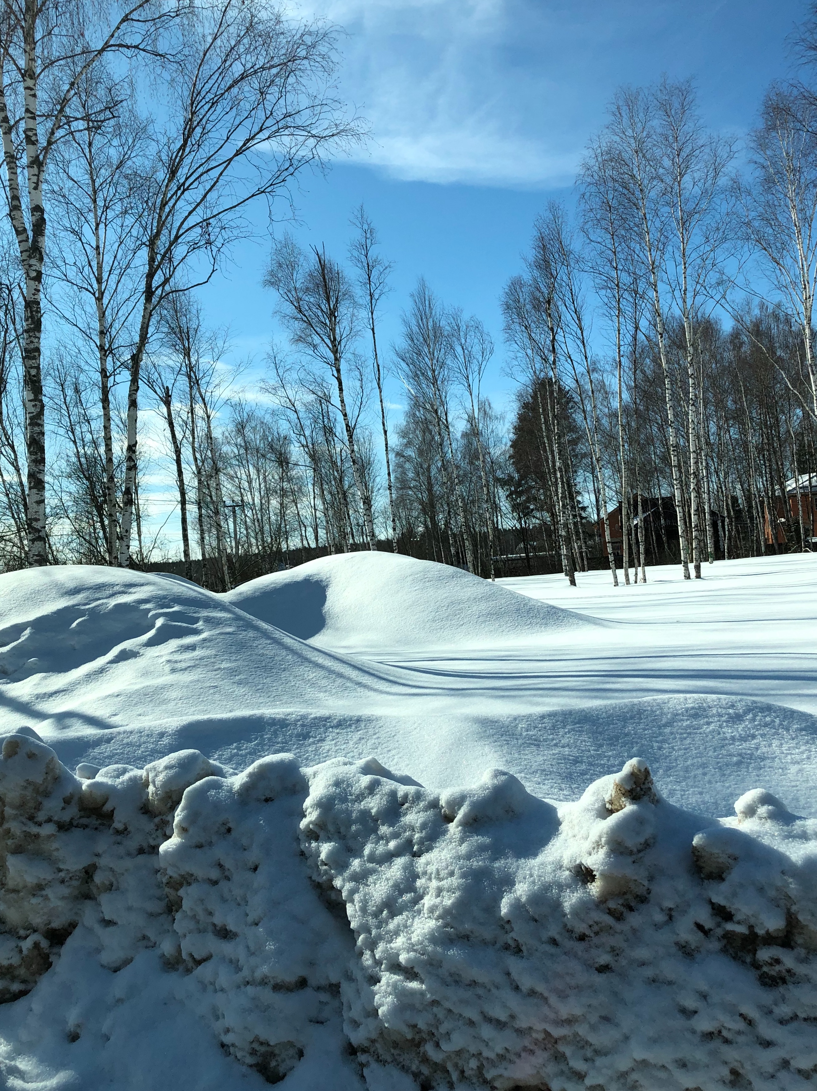 8B8C586C D04F 4B64 862D 9AF52C16DD78