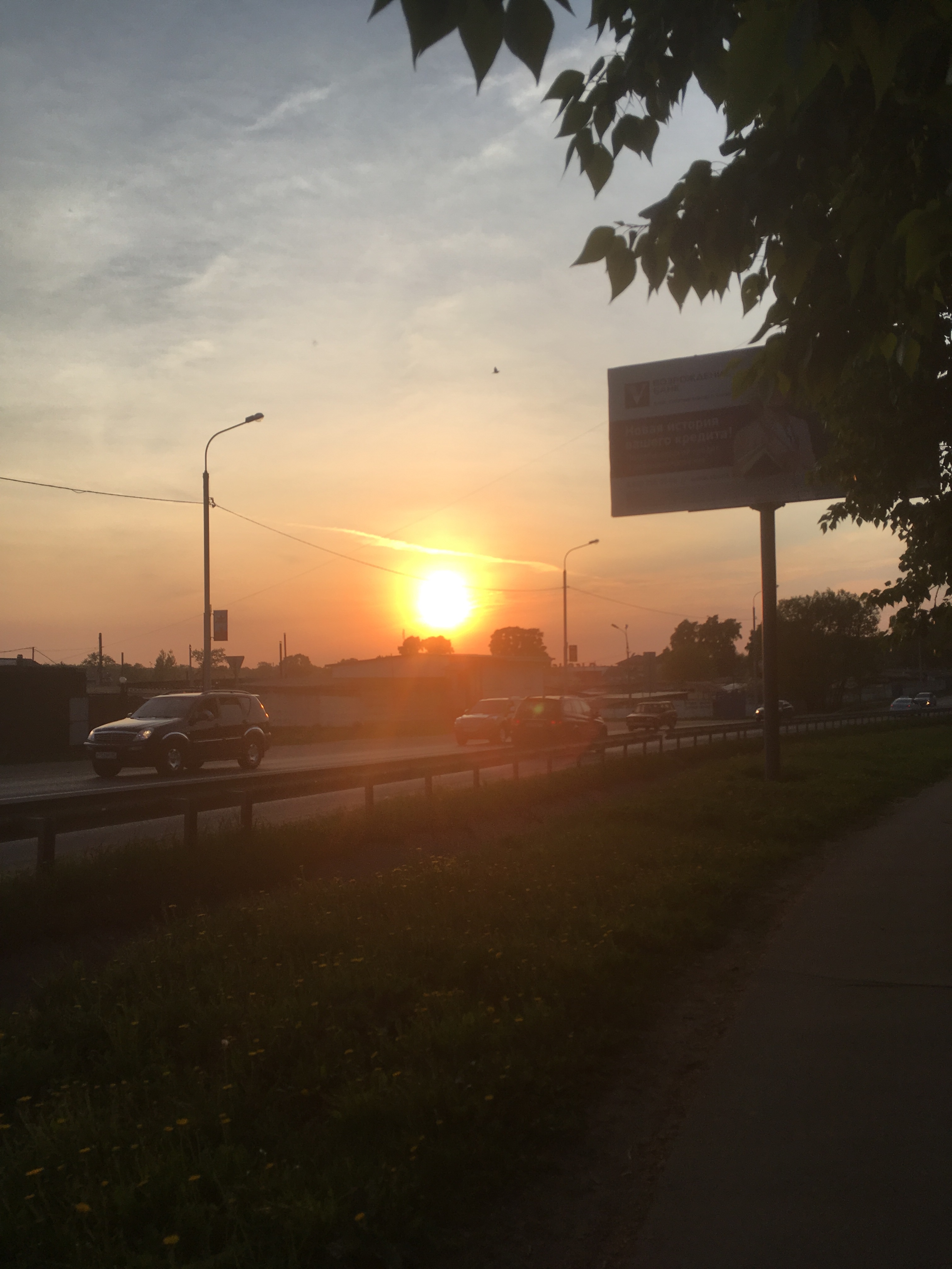 A76CFF9C 5502 4FC5 9DE9 07DCEA742EC0