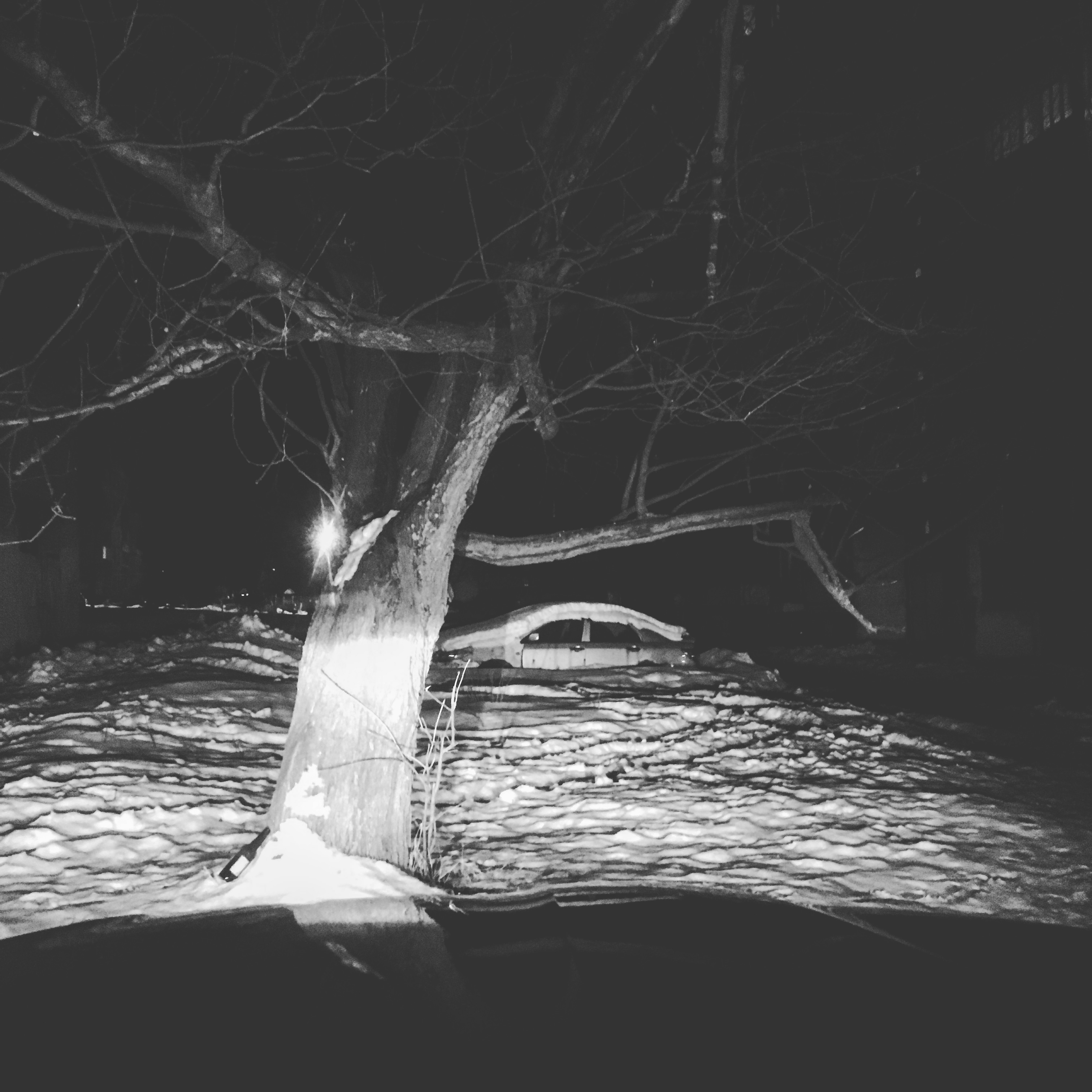 87CEF2E6 5304 459C BA48 4EF5399EE6A5