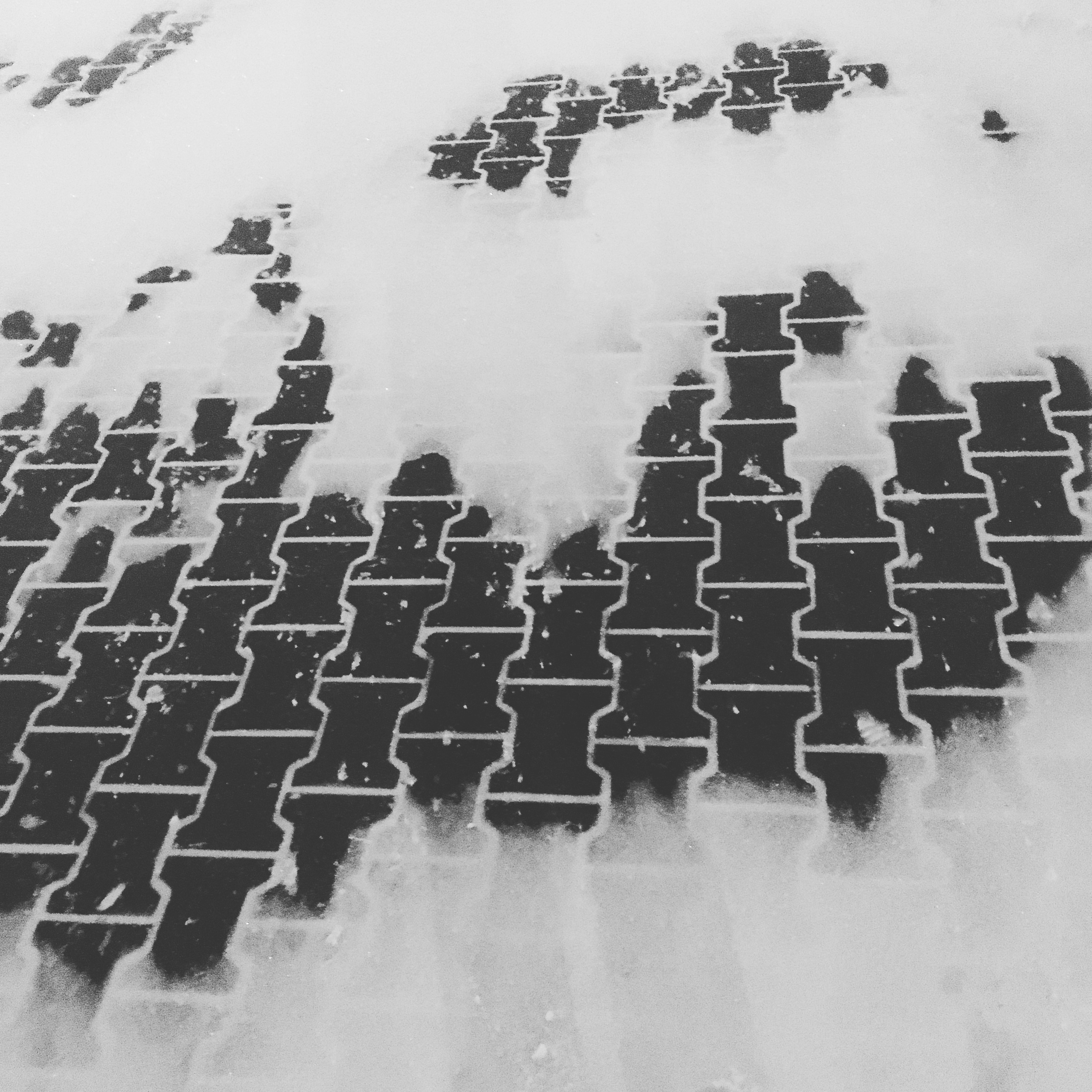 8E516DFD B218 48F3 8E39 5274F11A6026