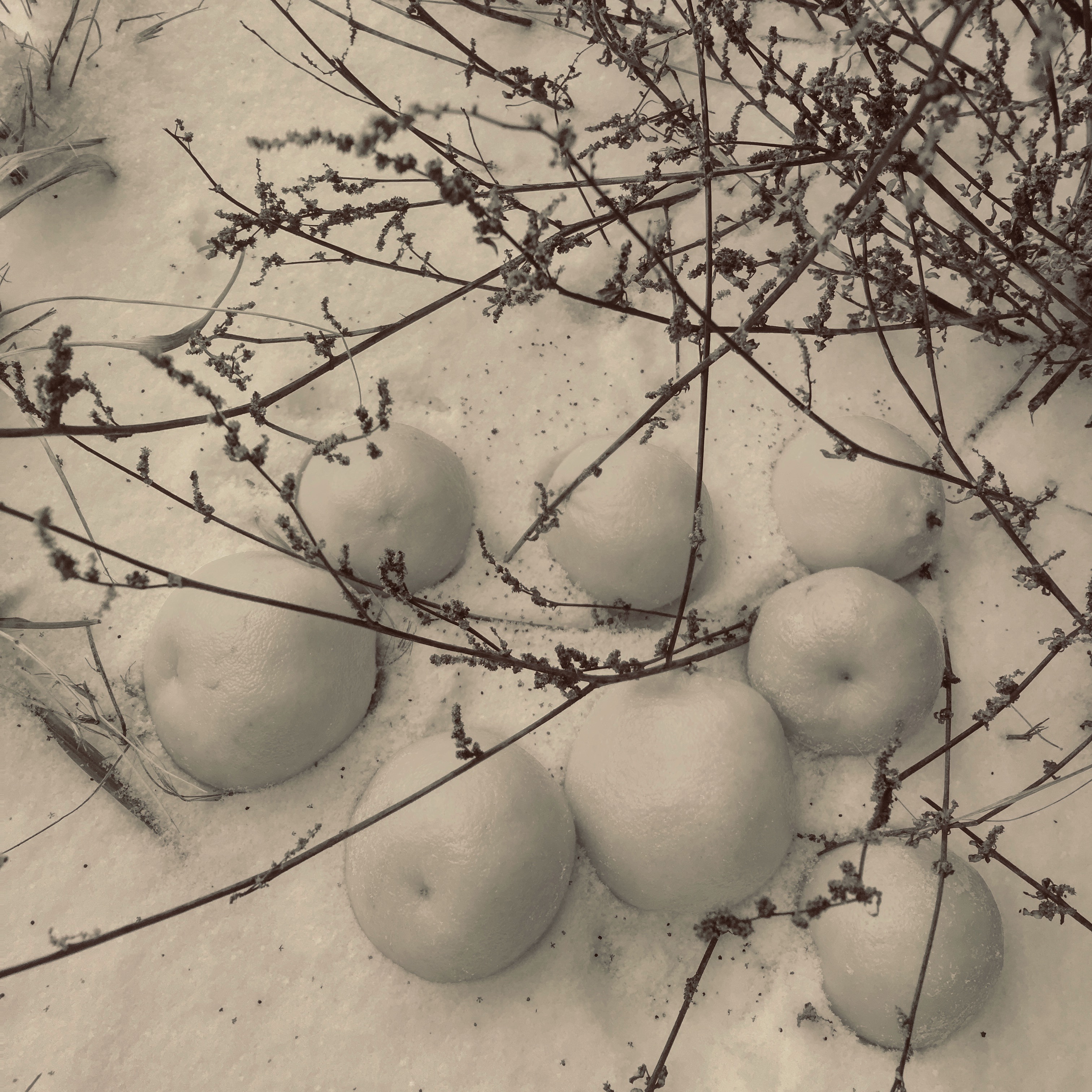 0435BD08 418F 4699 8CE2 3A8F54C3F569