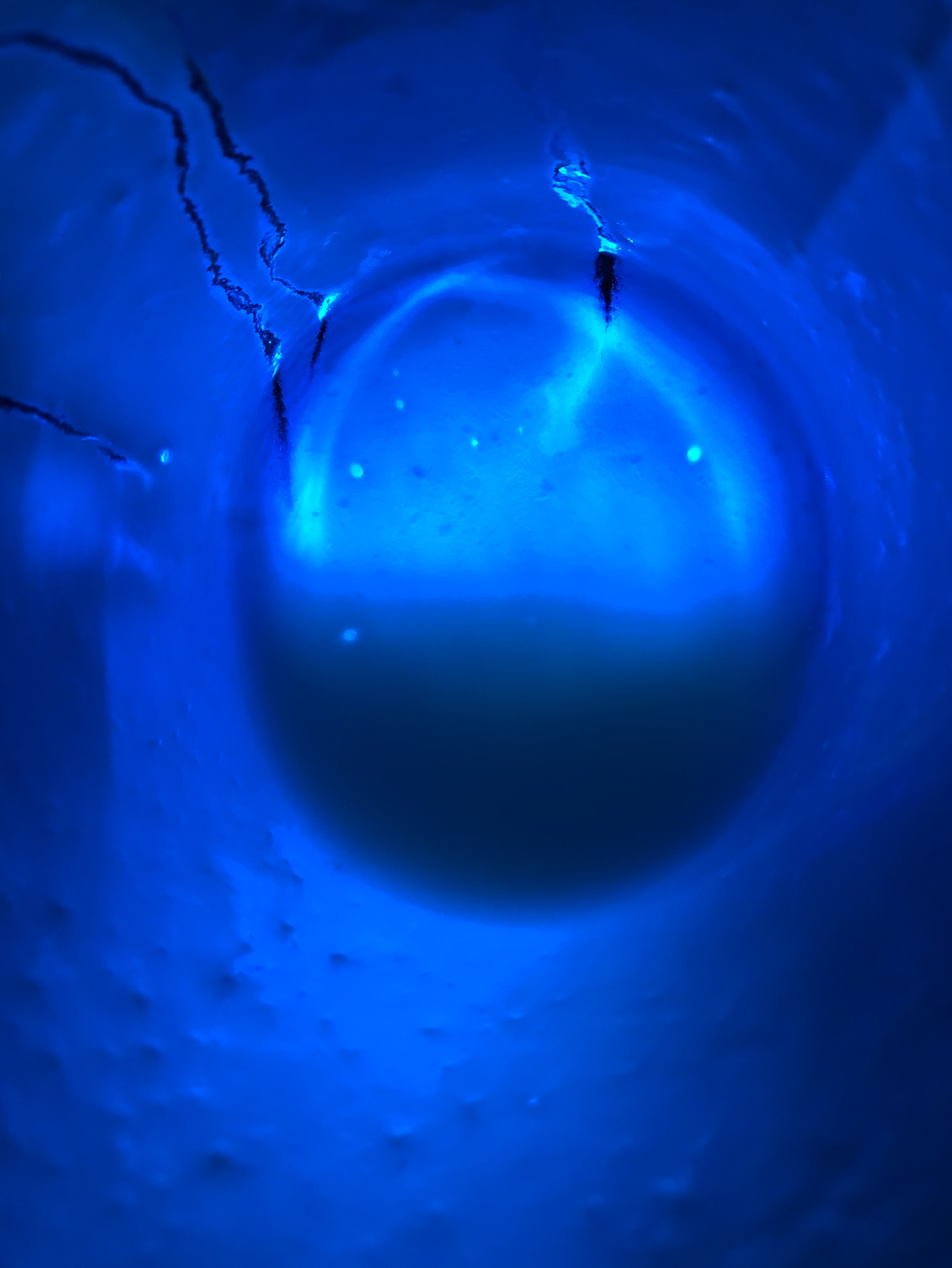 1119827E D707 4851 BE62 68C5A1643F27