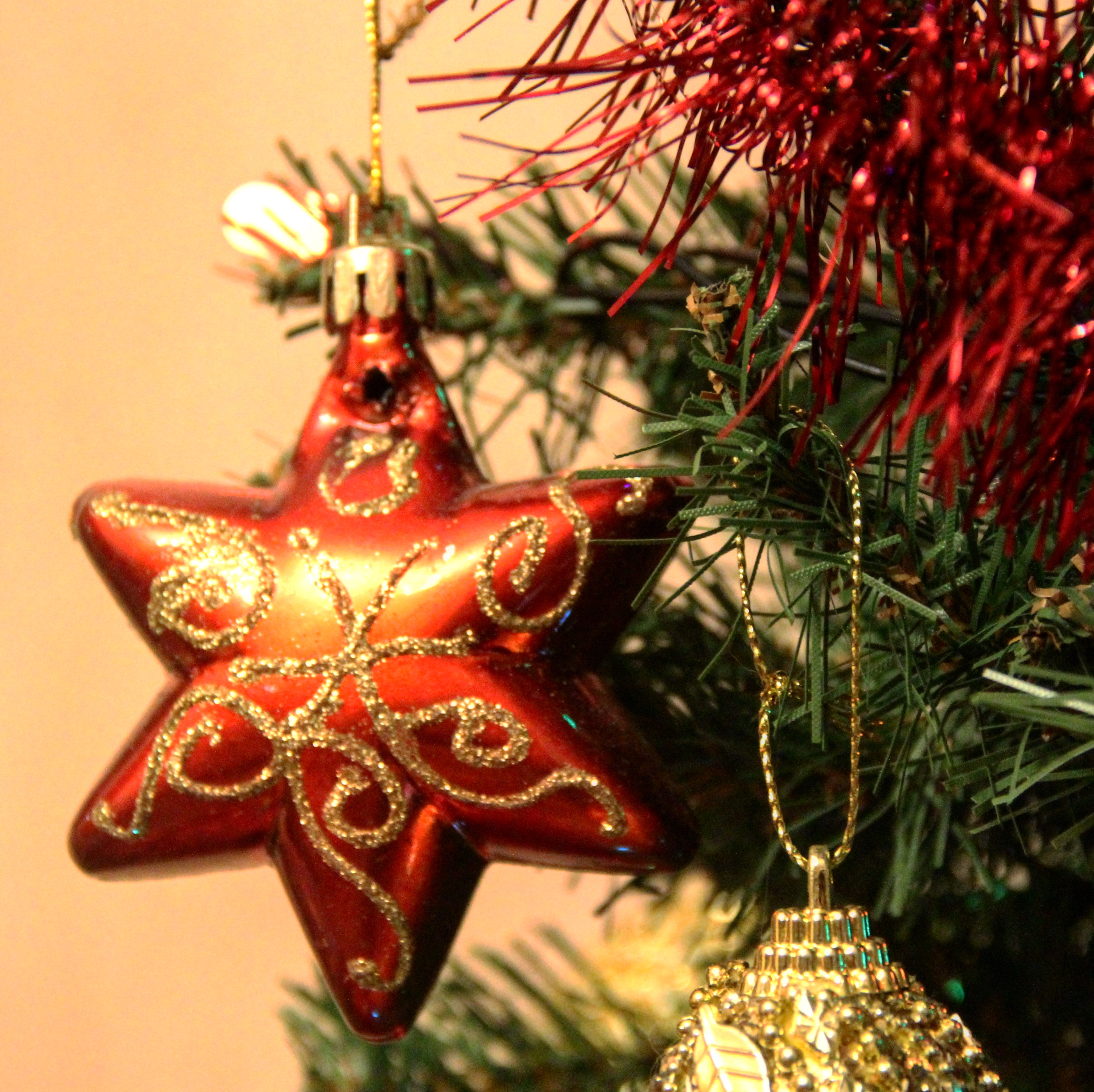 1A6BEFC6 67FF 4022 B3ED CFCDC4F92730