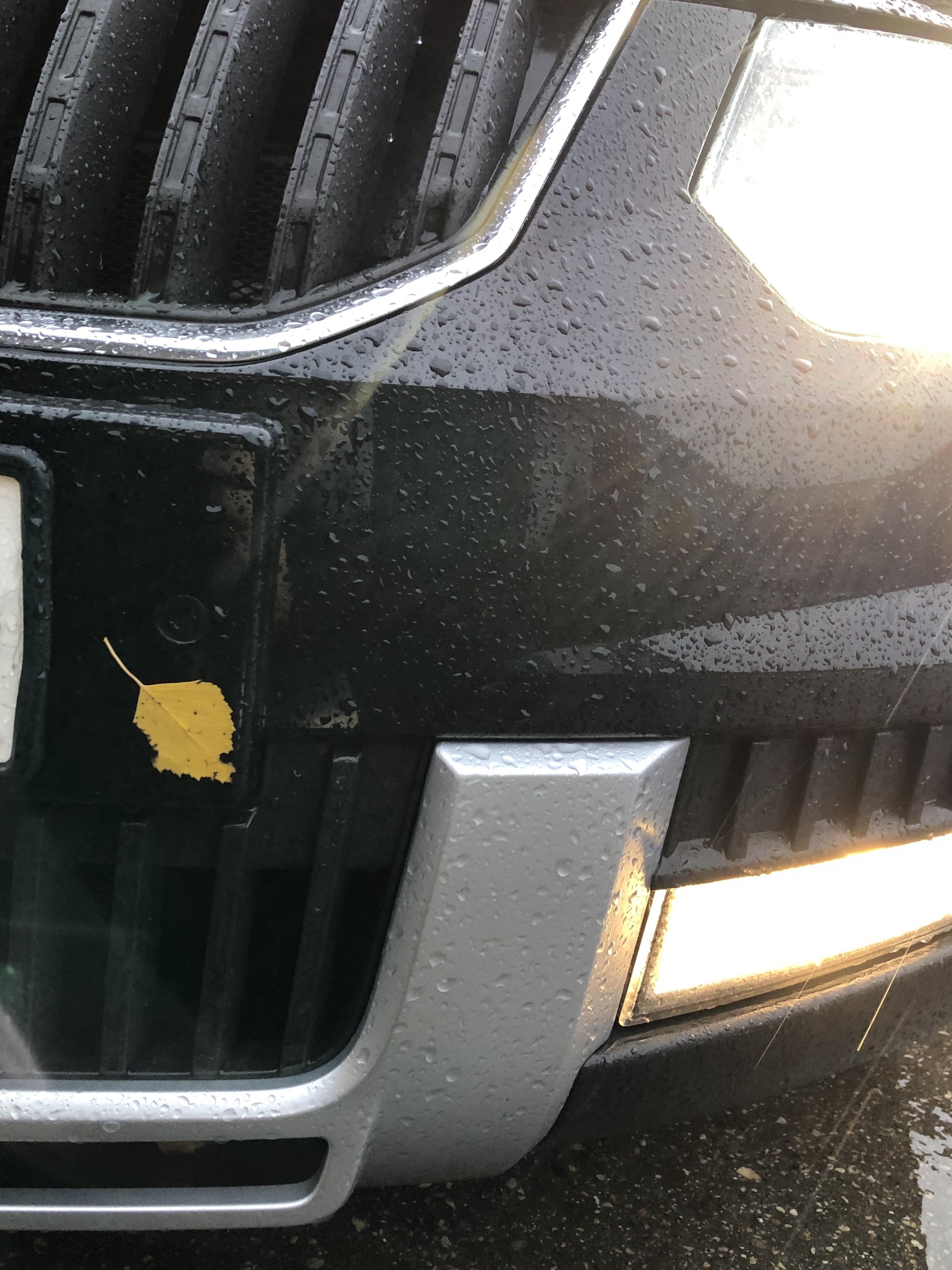 2A6B20BF 92F8 4258 BFB1 4BE1C6EDC21C