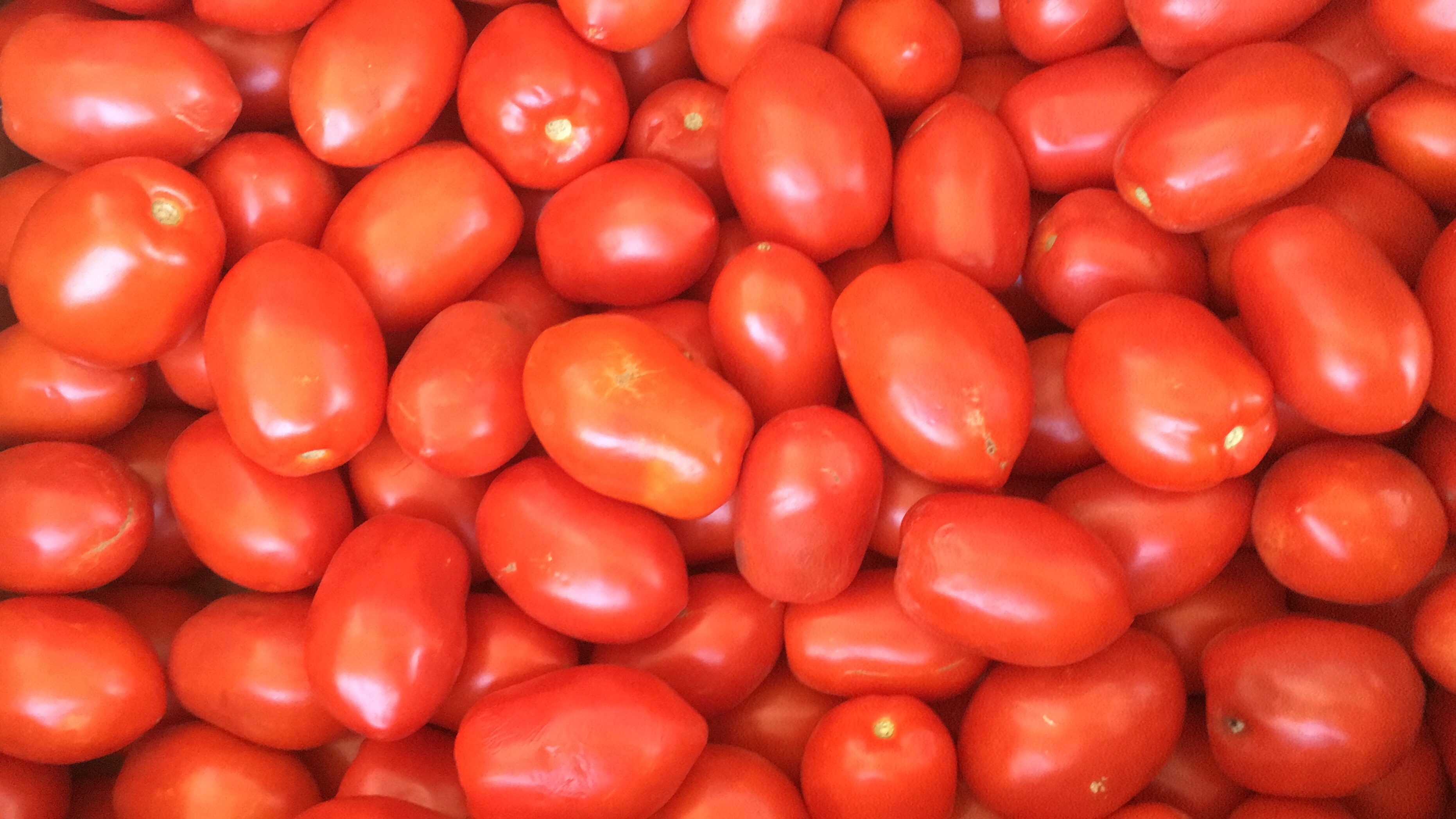 37DD6A4F 0584 4E1F AFD2 CF016FA72D83