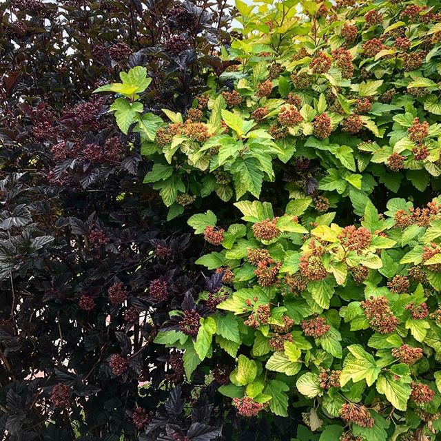 46C88486 514A 4CB8 8F28 676608331EF4