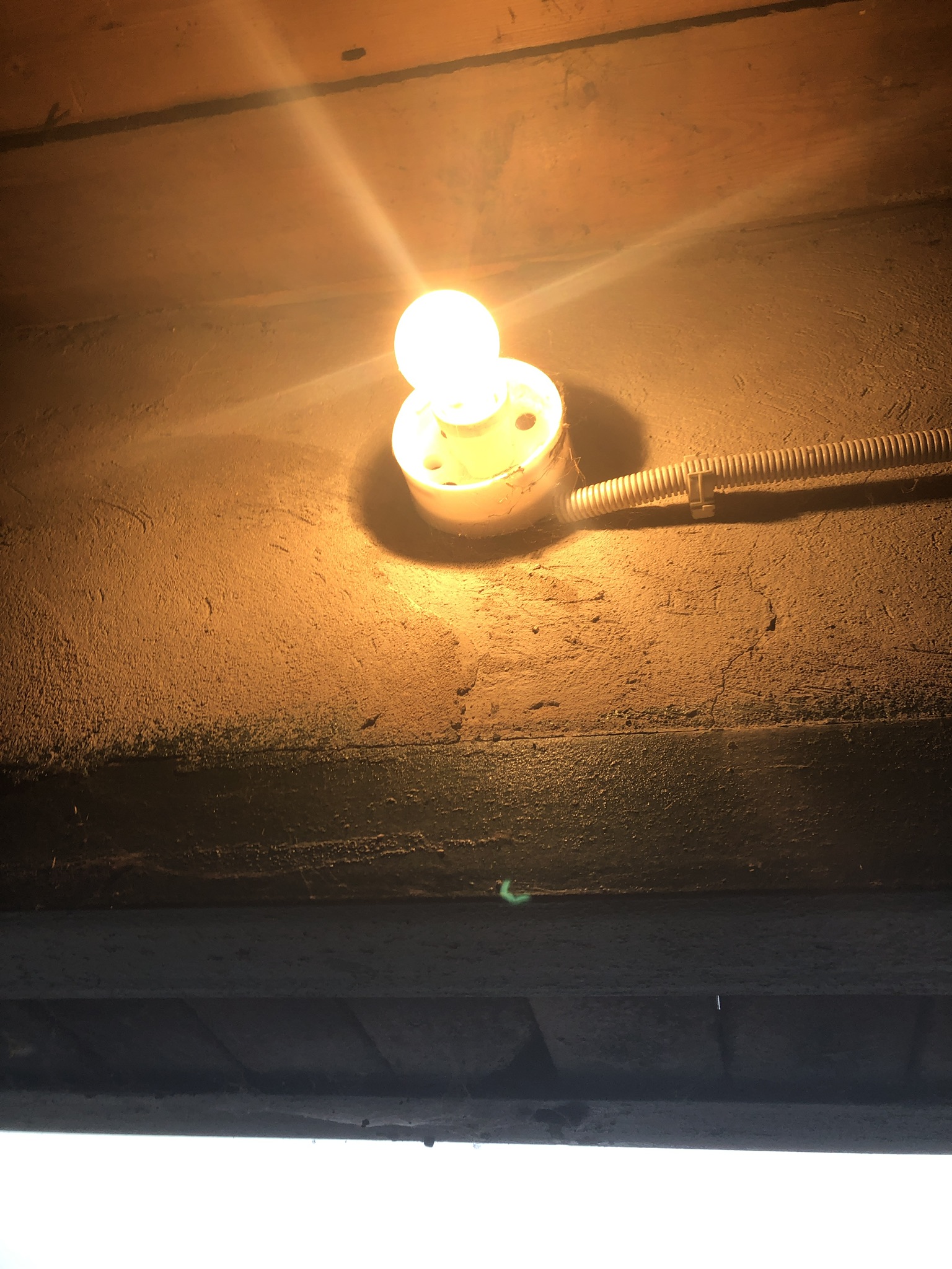 5244D9DC 4D92 4926 881A 35CACFD8CA77