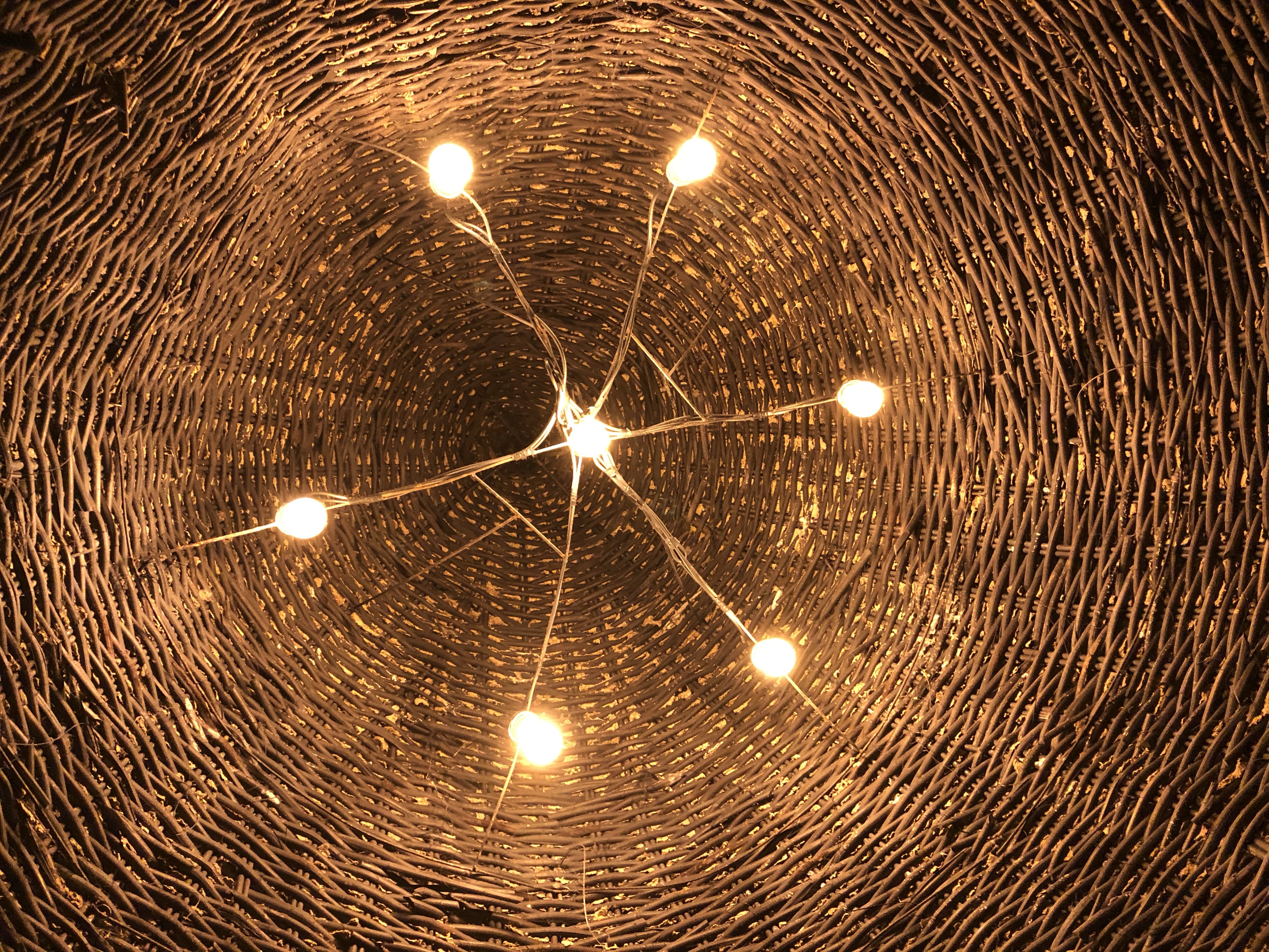 730E7C17 B775 4B07 A02E 5CD6BA7A8CD1