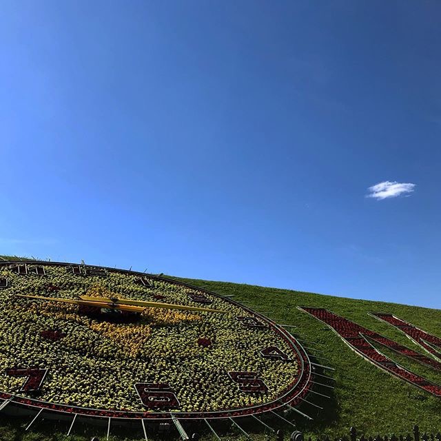 7F7A3F02 F85B 4723 98BF 84A088C8E90F