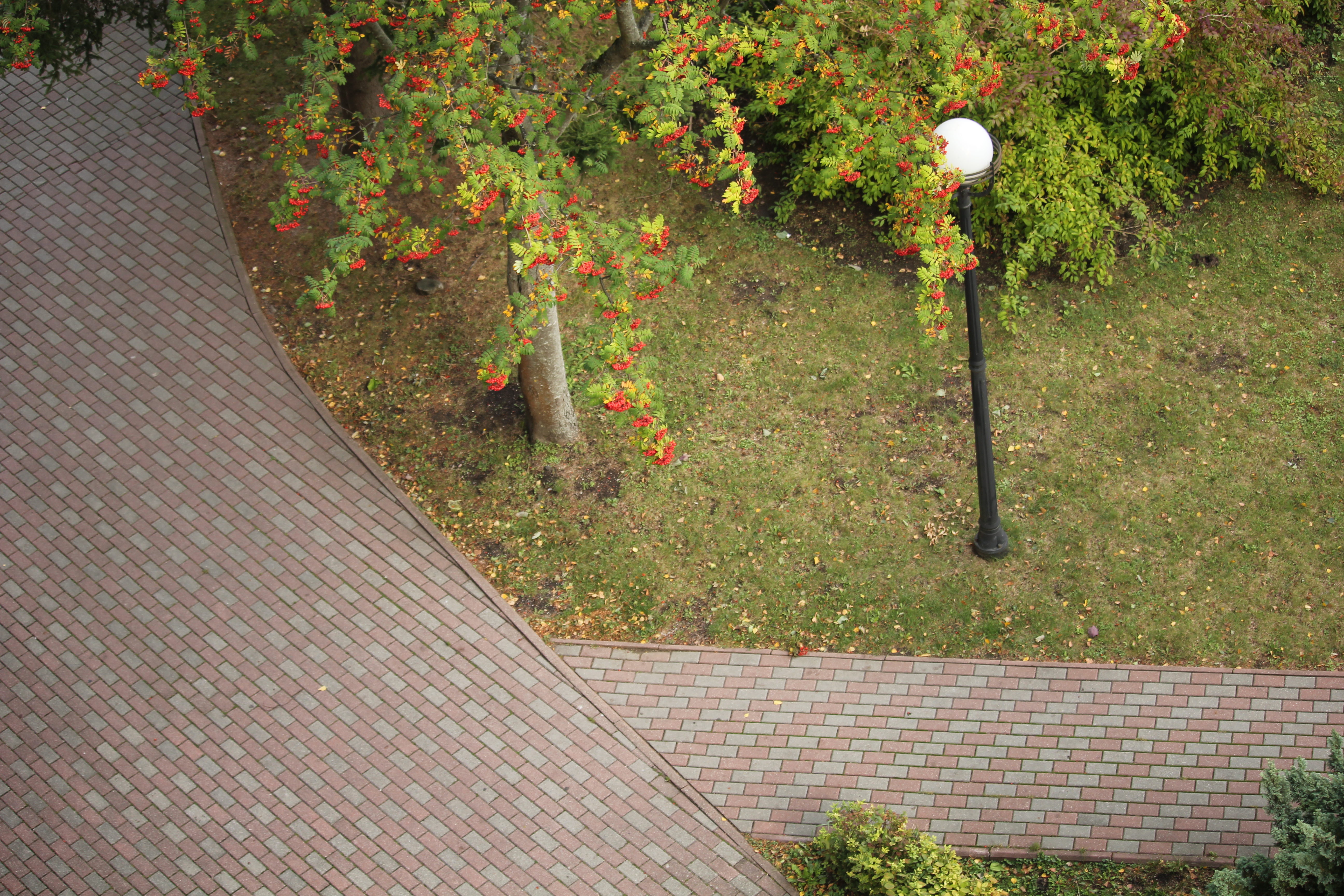 9600E574 7BDE 4DE0 95D9 4B4BA878250C