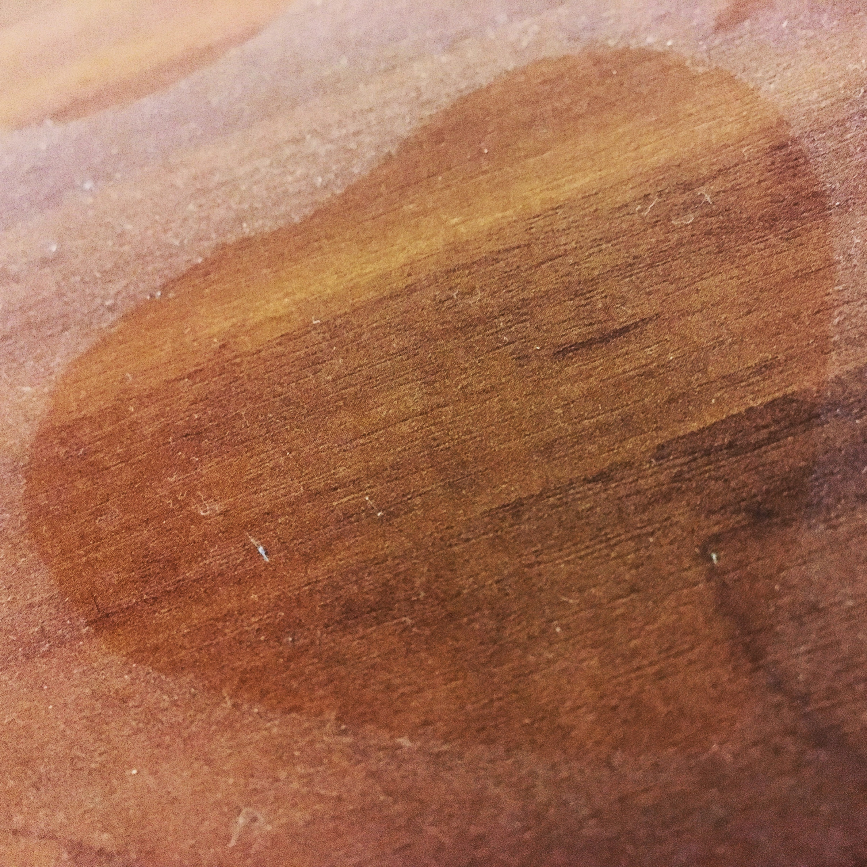 A3E89547 84B4 4304 BA8A D1337E9A5D89