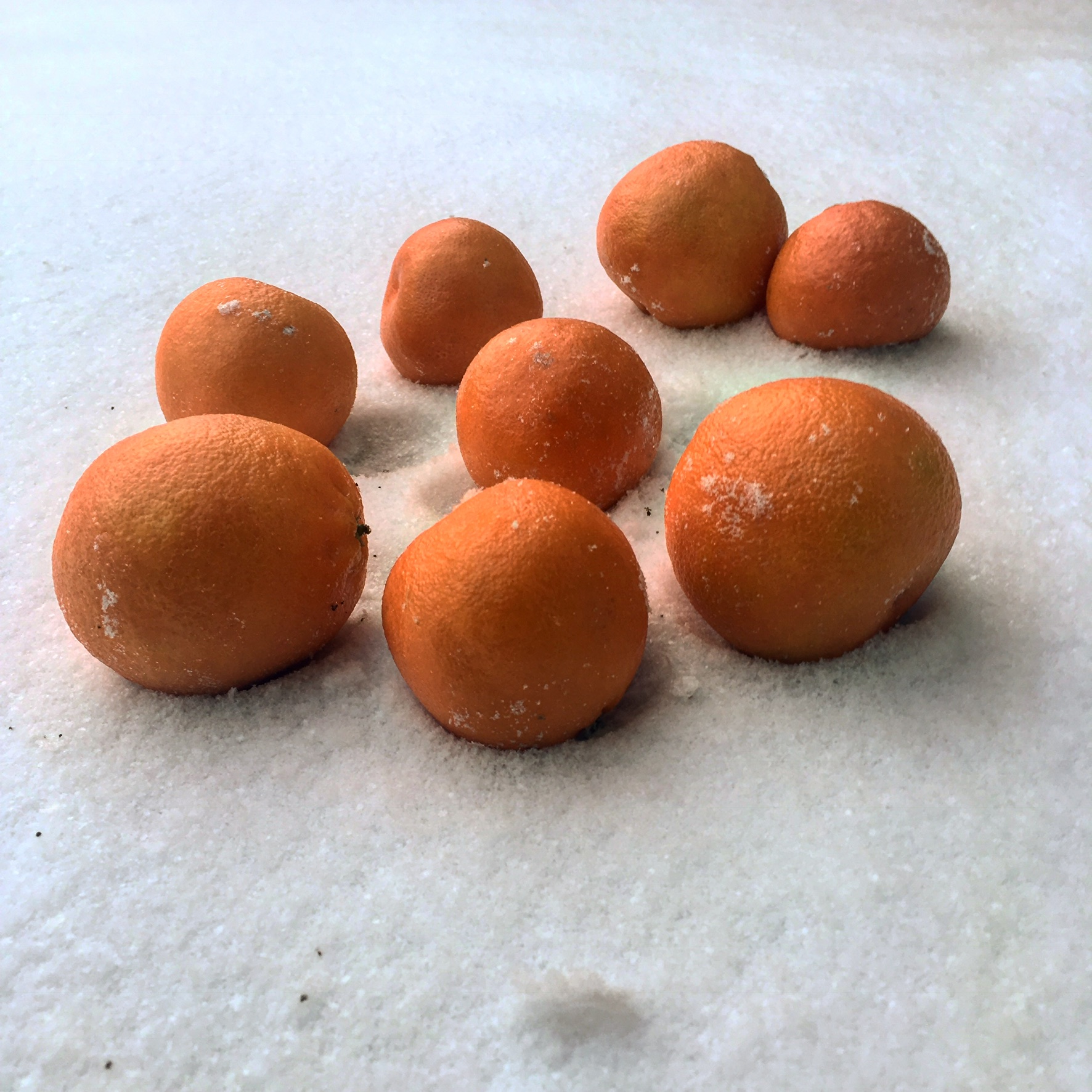 F22A3A84 458B 494E 8391 C9BE81A87F4D