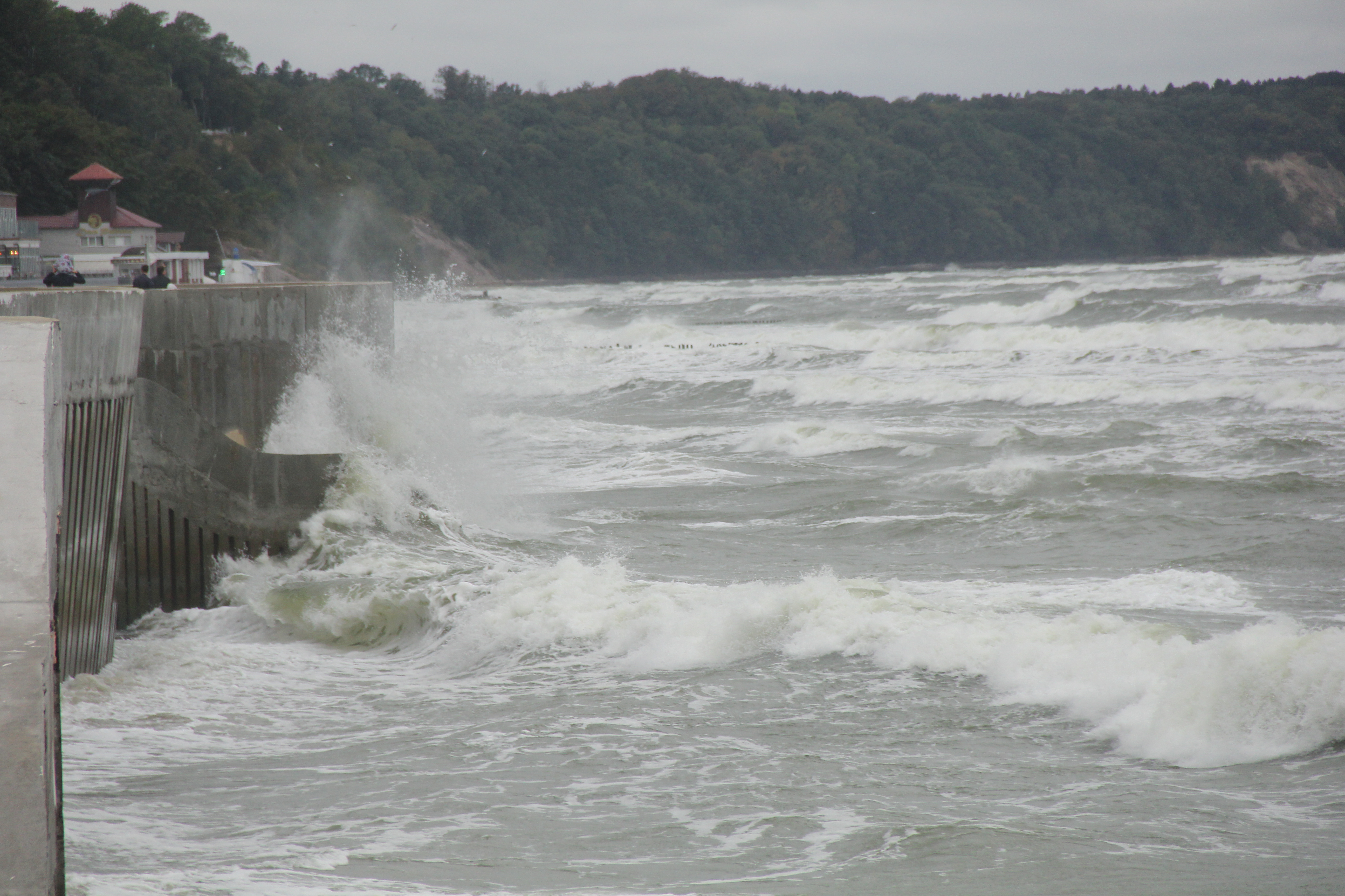 7263F83A 06F2 49C7 8445 E13A52CB7F88